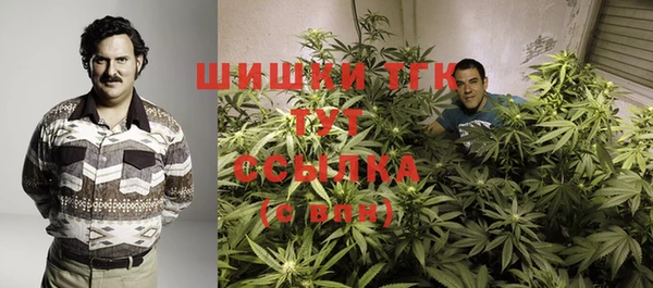 mix Верхний Тагил