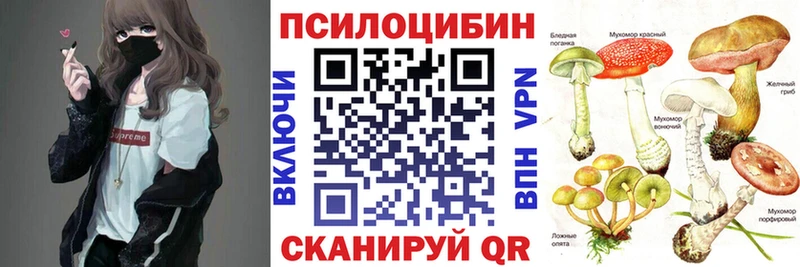 что такое наркотик  Карабаново  Псилоцибиновые грибы Psilocybine cubensis 